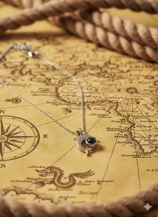 Silver Dolphin Chain